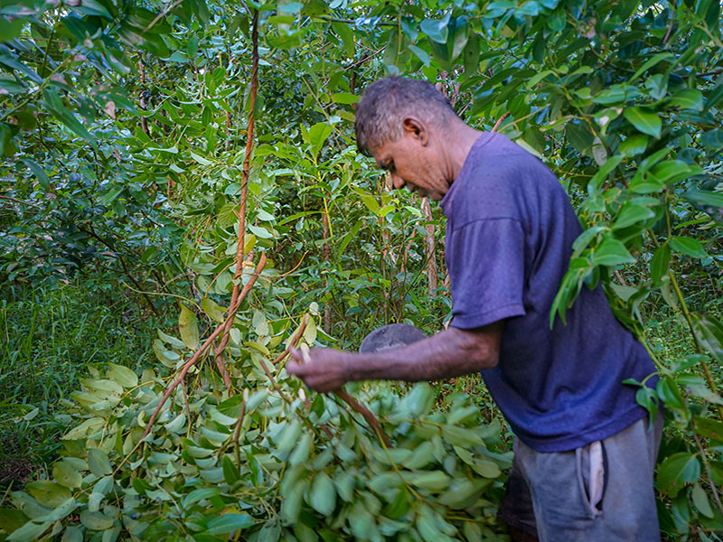 Processing workers